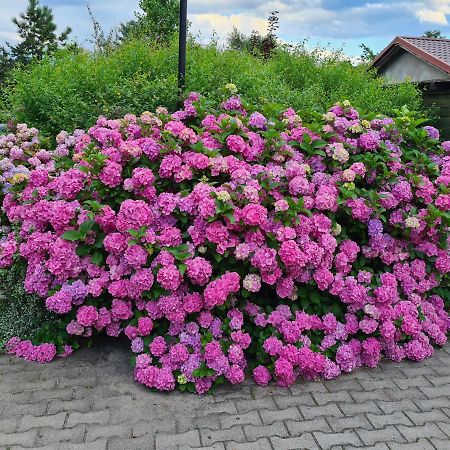 Dworek Sw.Antoniego Slawutowo エクステリア 写真